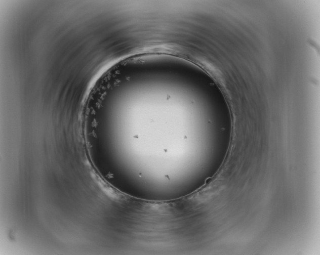 X0000099300816200805021230