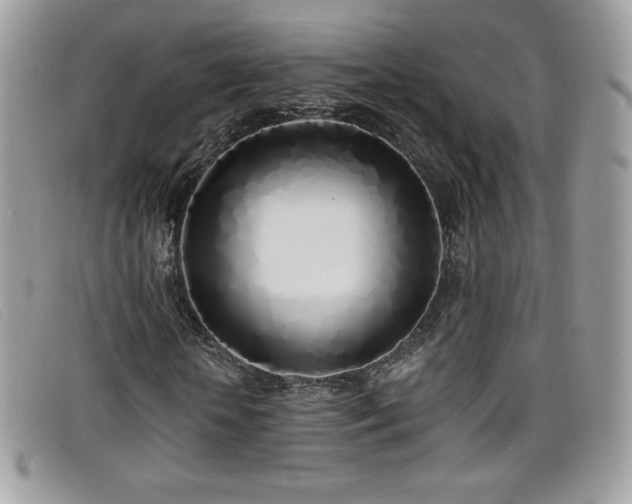 X0000099300818200805021229