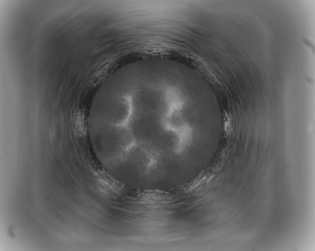 X0000099300819200805021229