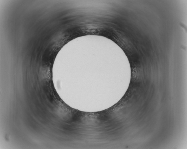 X0000099300820200805021229