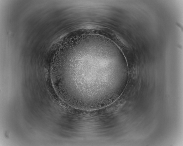 X0000099300821200805021229