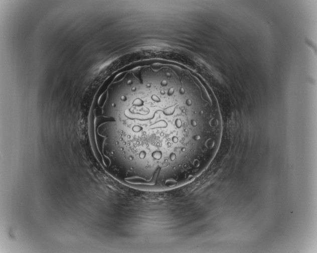 X0000099300822200805021229