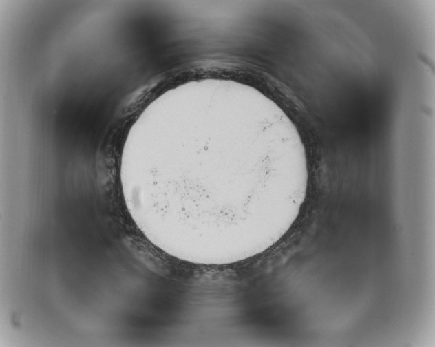 X0000099300824200805021229