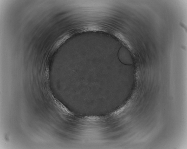 X0000099300825200805021229