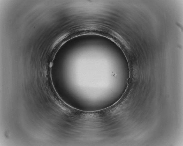 X0000099300826200805021229