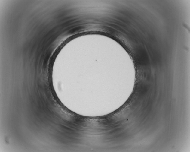 X0000099300828200805021229