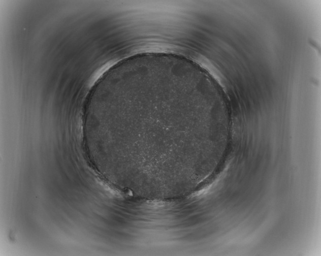 X0000099300829200805021229