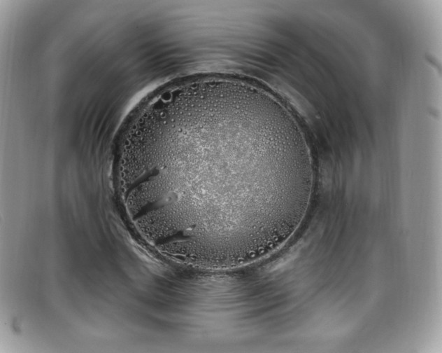 X0000099300830200805021229