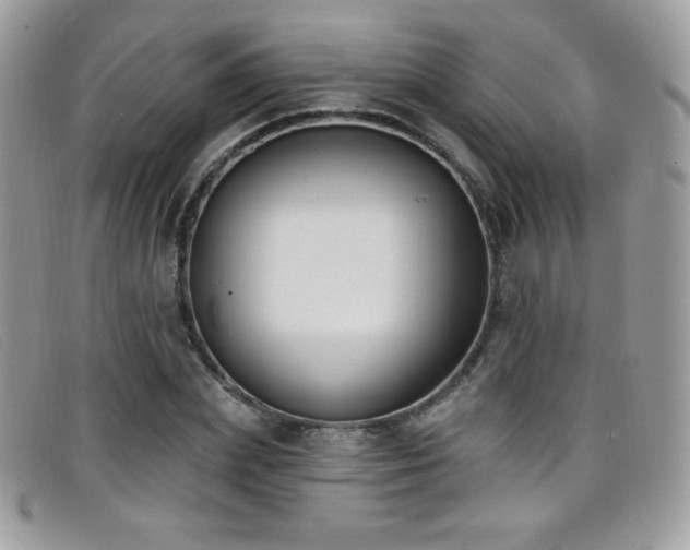 X0000099300831200805021229