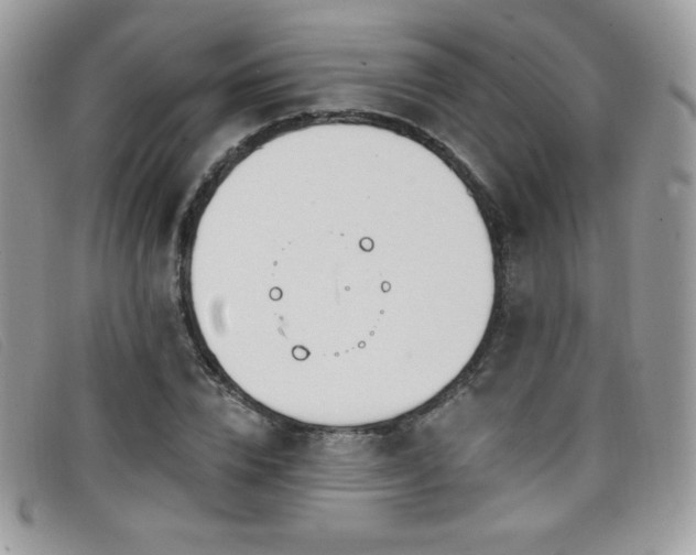 X0000099300832200805021229