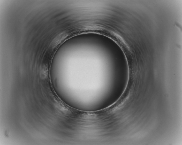 X0000099300833200805021229