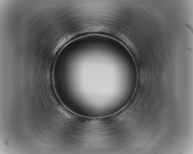 X0000099300834200805021229