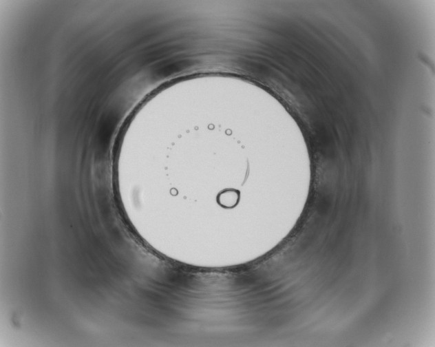 X0000099300836200805021229