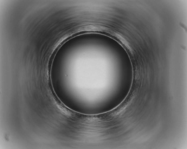 X0000099300837200805021229