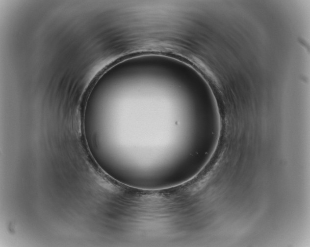 X0000099300838200805021229