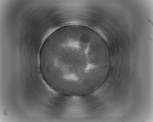 X0000099300839200805021229