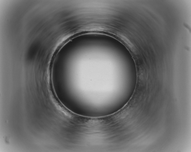 X0000099300840200805021229