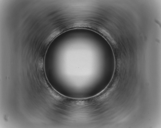 X0000099300841200805021229