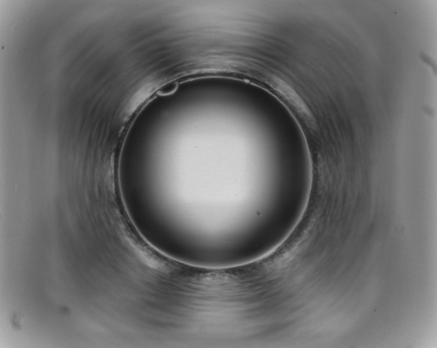 X0000099300842200805021229