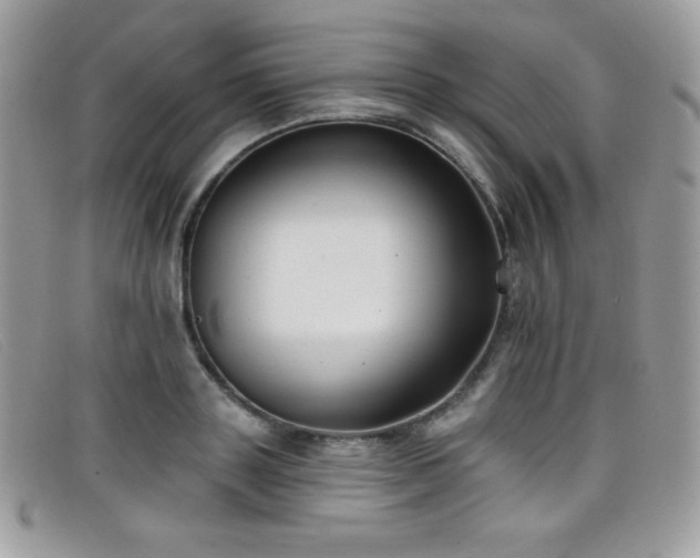 X0000099300843200805021229