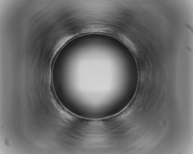 X0000099300844200805021229