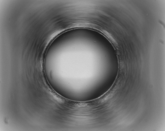 X0000099300846200805021229