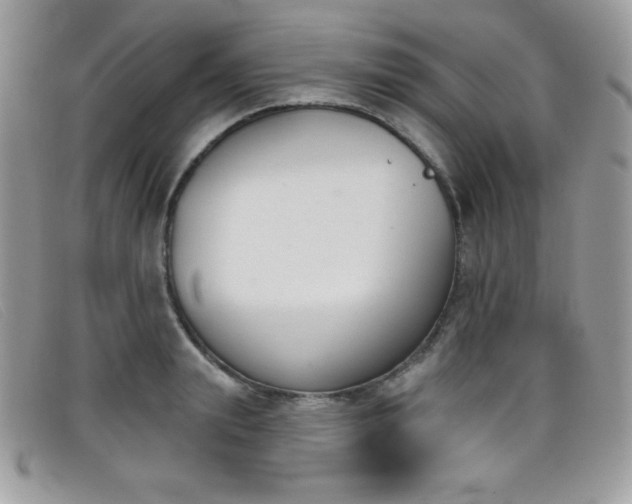 X0000099300847200805021229