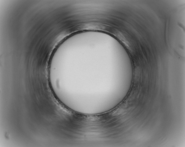 X0000099300848200805021229