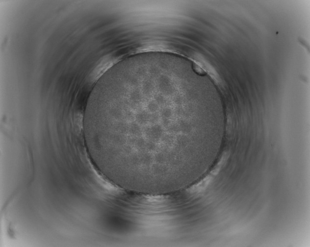 X0000099300849200805021229