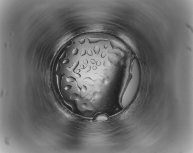 X0000099300850200805021229