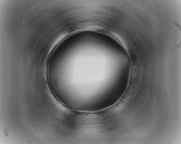 X0000099300851200805021229