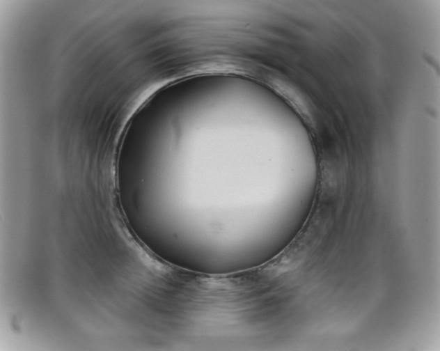 X0000099300852200805021229