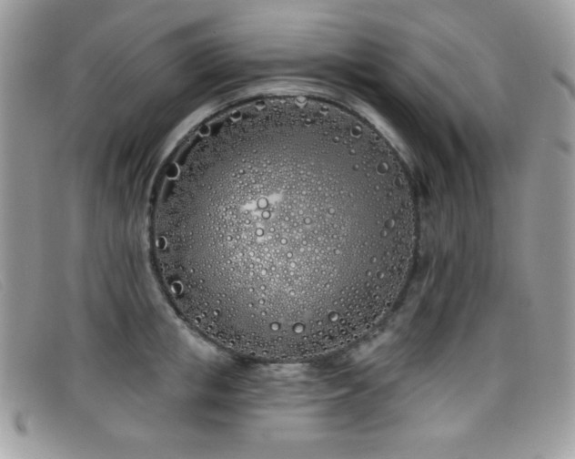 X0000099300853200805021229