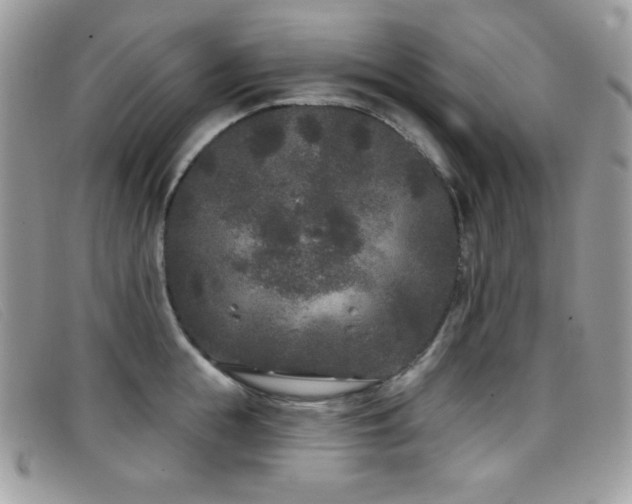 X0000099300855200805021229