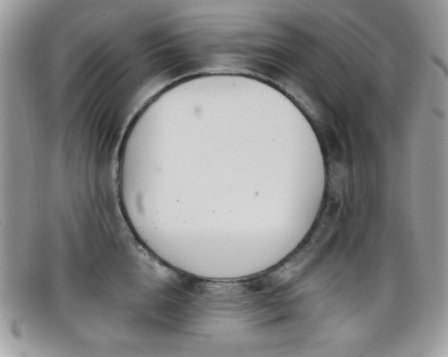 X0000099300856200805021229