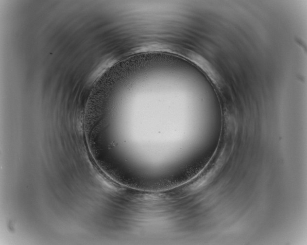 X0000099300857200805021229