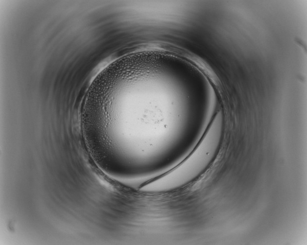 X0000099300858200805021230