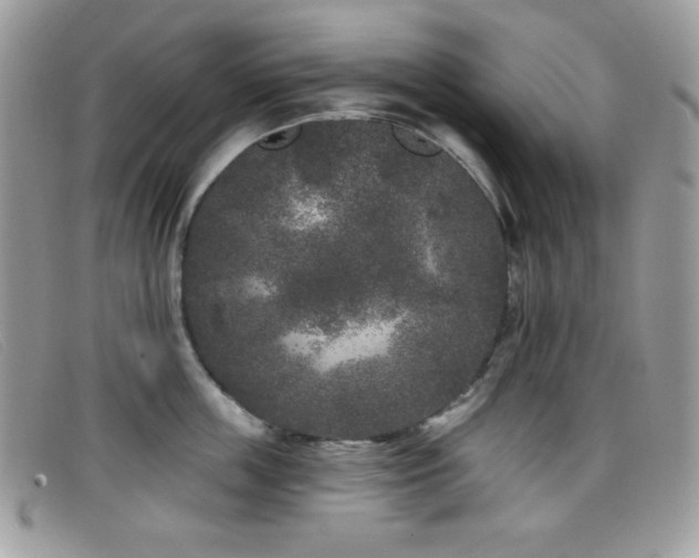 X0000099300859200805021230