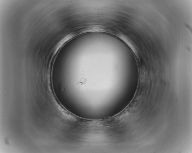 X0000099300861200805021230