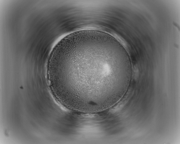 X0000099300862200805021230