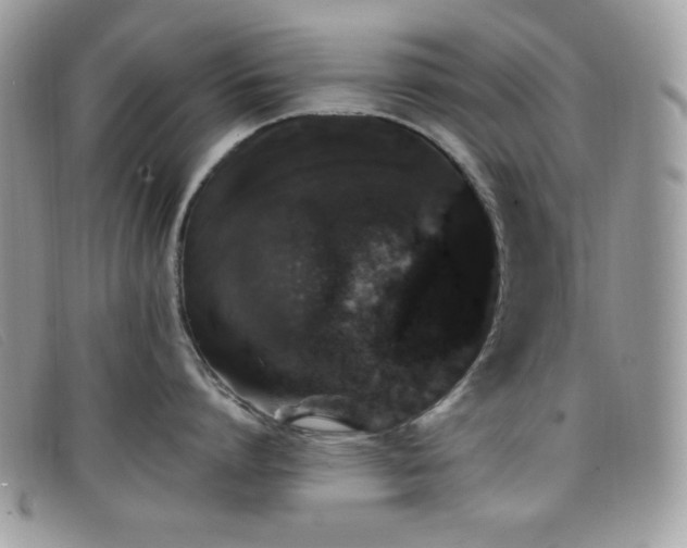 X0000099300864200805021230