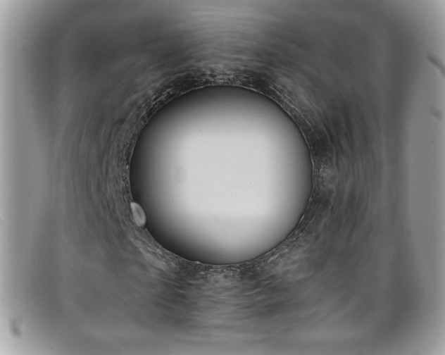 X0000099300865200805021229