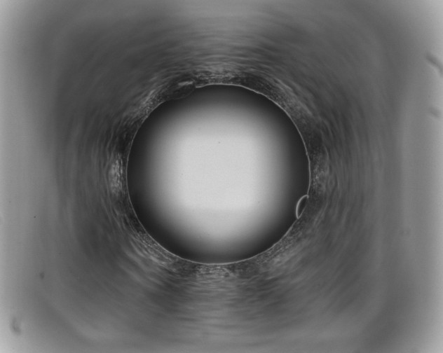 X0000099300866200805021229