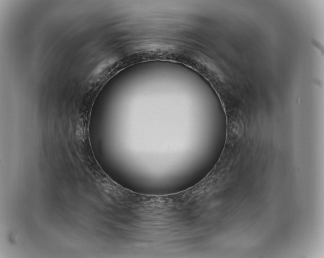 X0000099300869200805021229