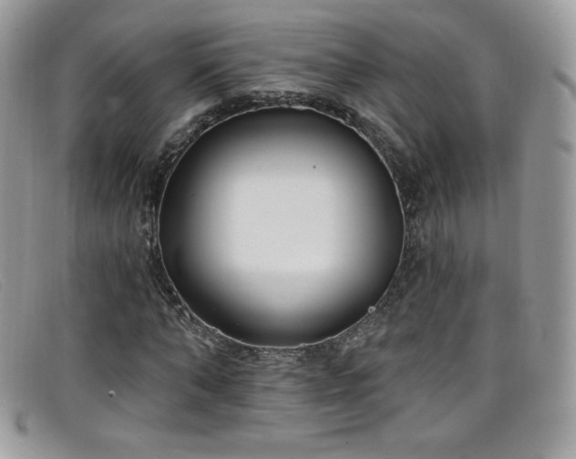 X0000099300870200805021229