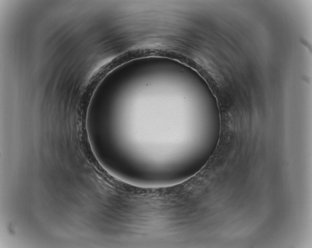 X0000099300872200805021229