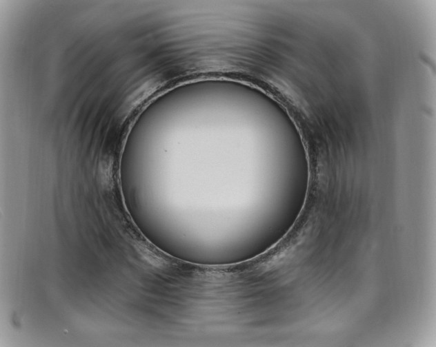 X0000099300873200805021229