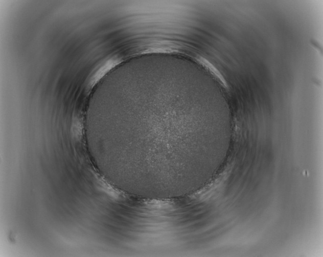 X0000099300874200805021229