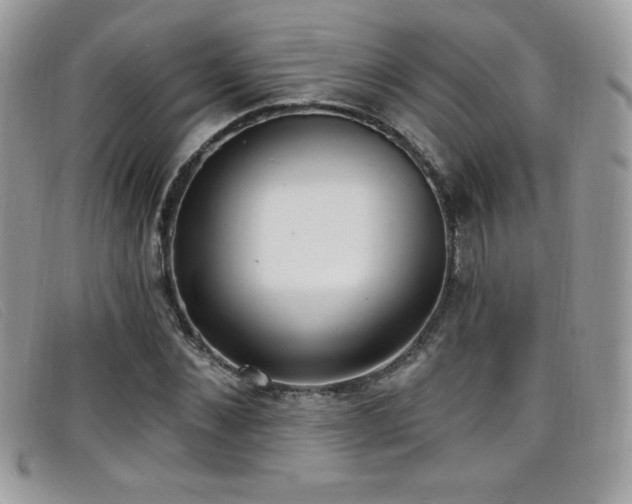 X0000099300876200805021229