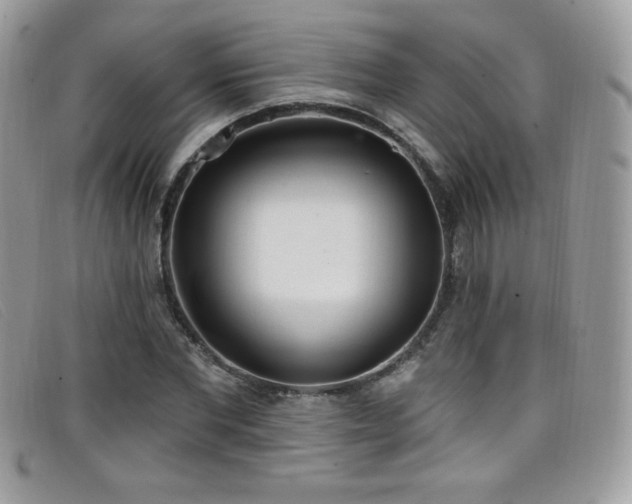 X0000099300877200805021229